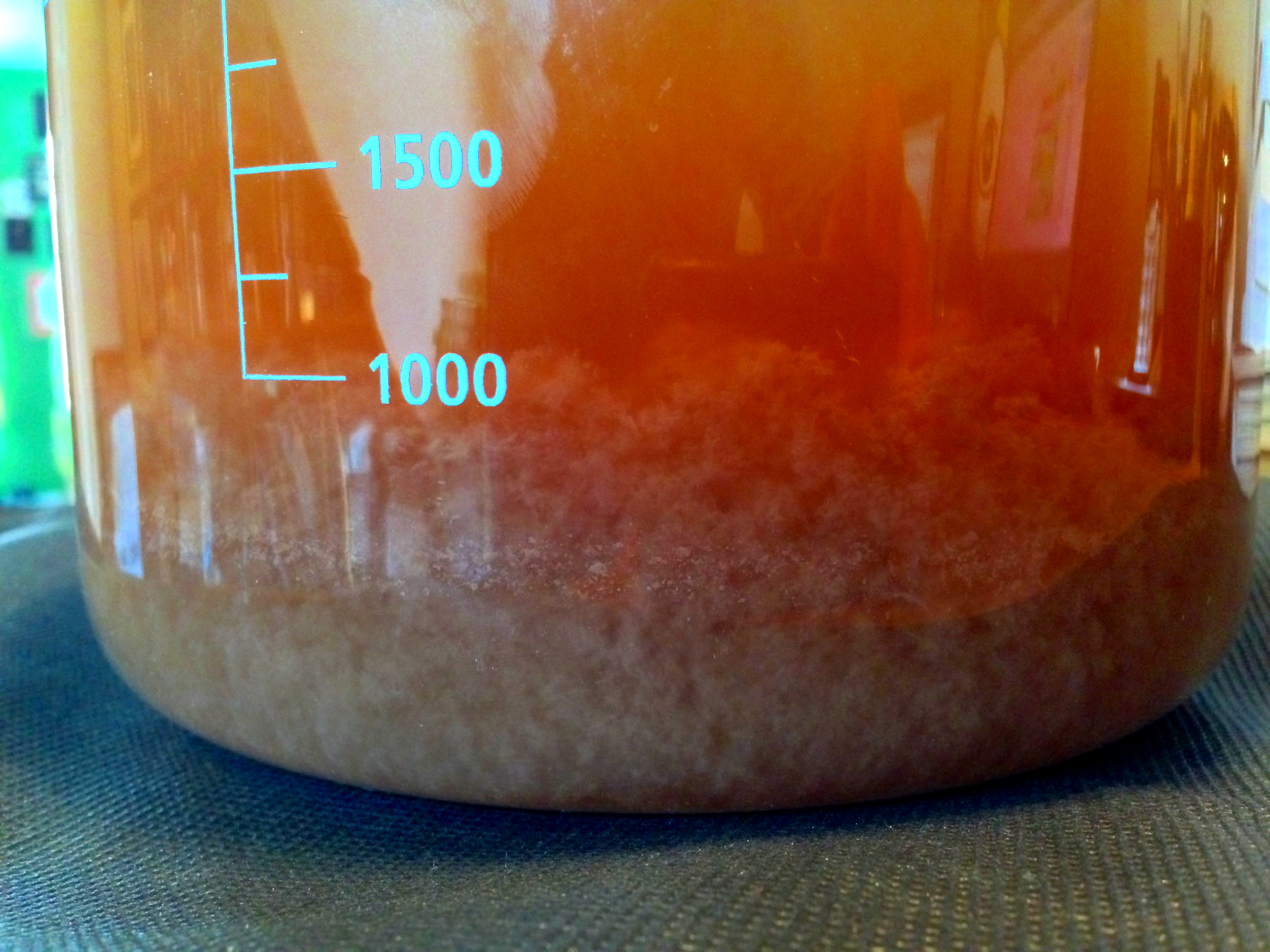 Blaugies Saison Dregs Starter
