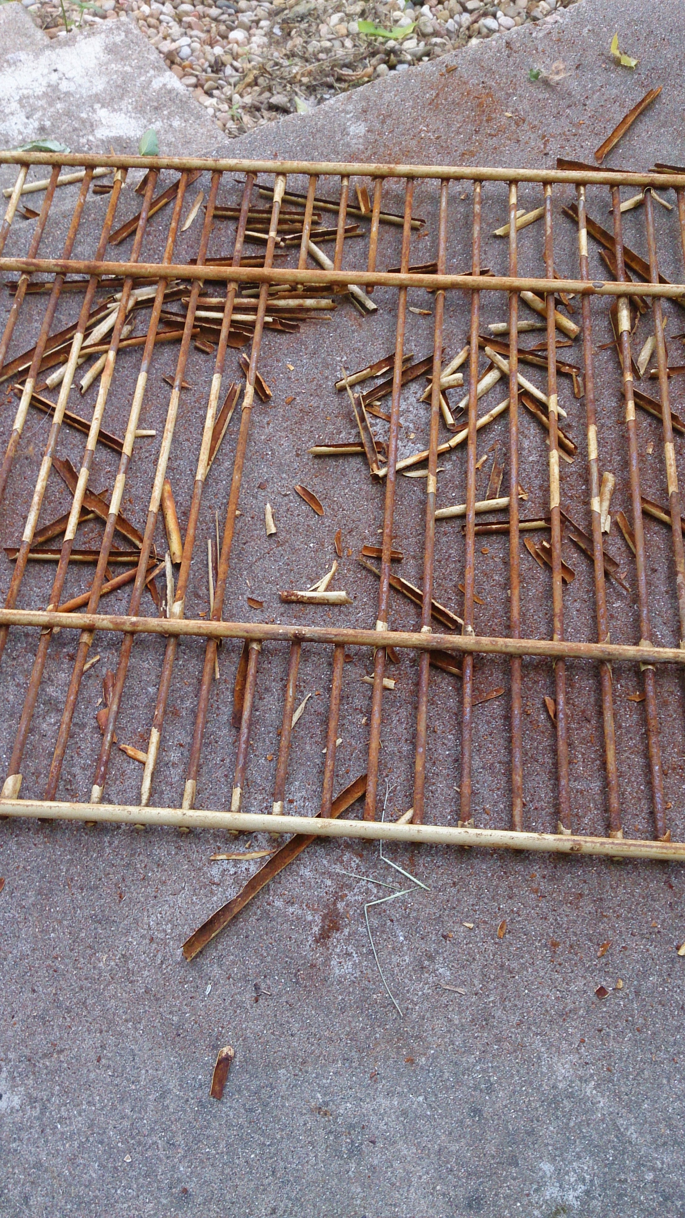 The Rack during