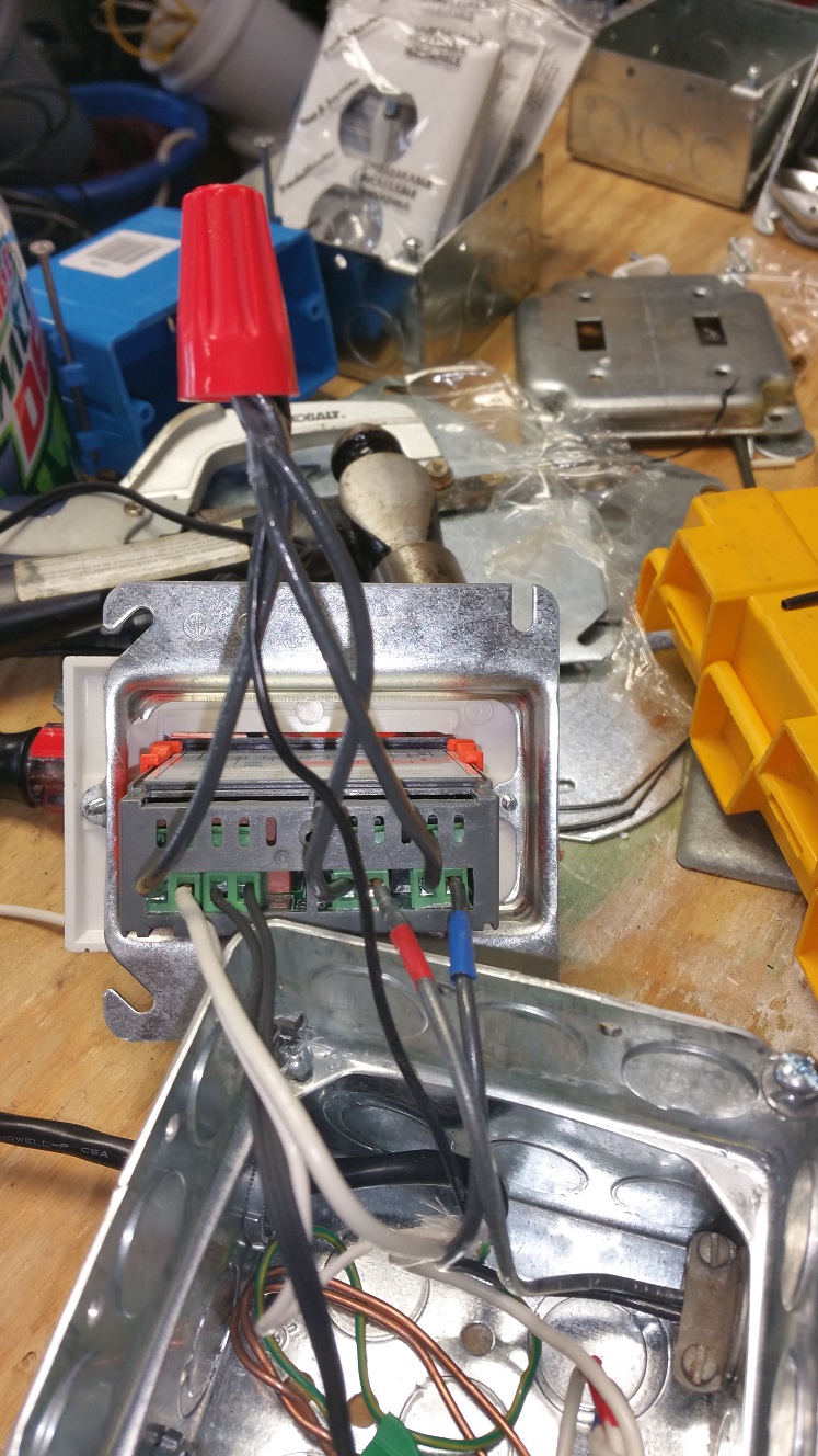 Step 11
