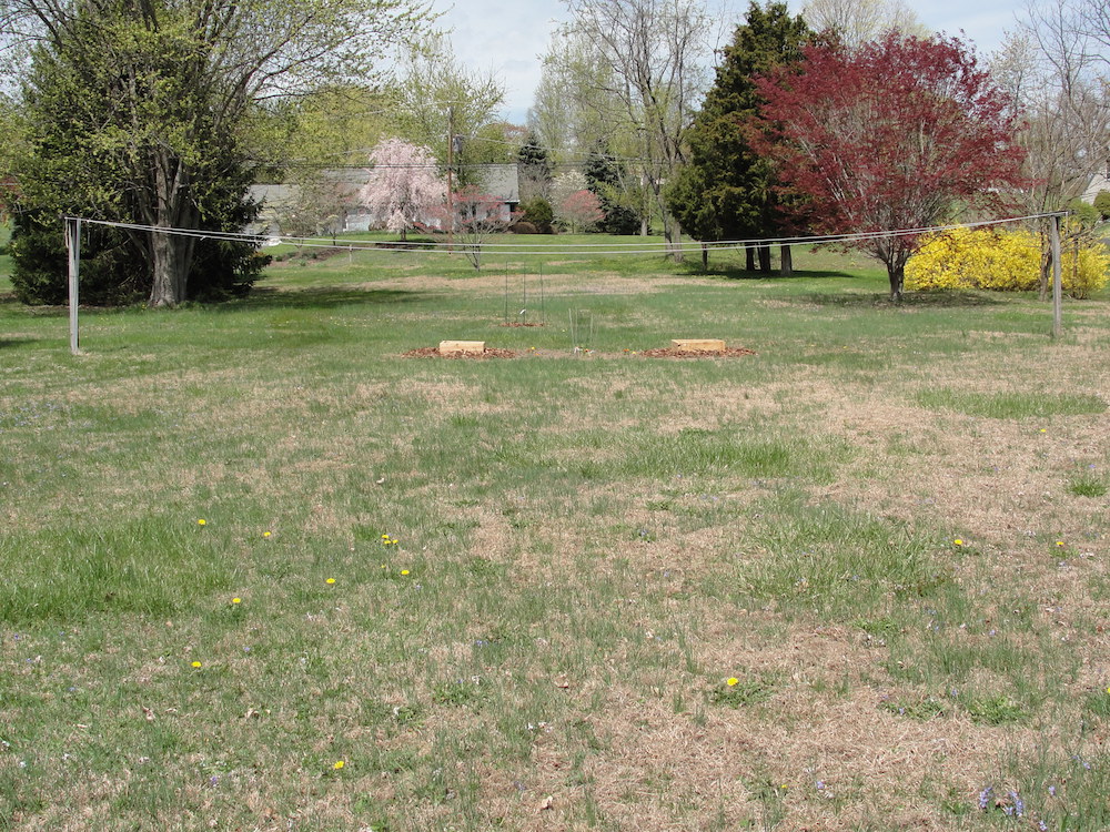 Setup, Wide Shot