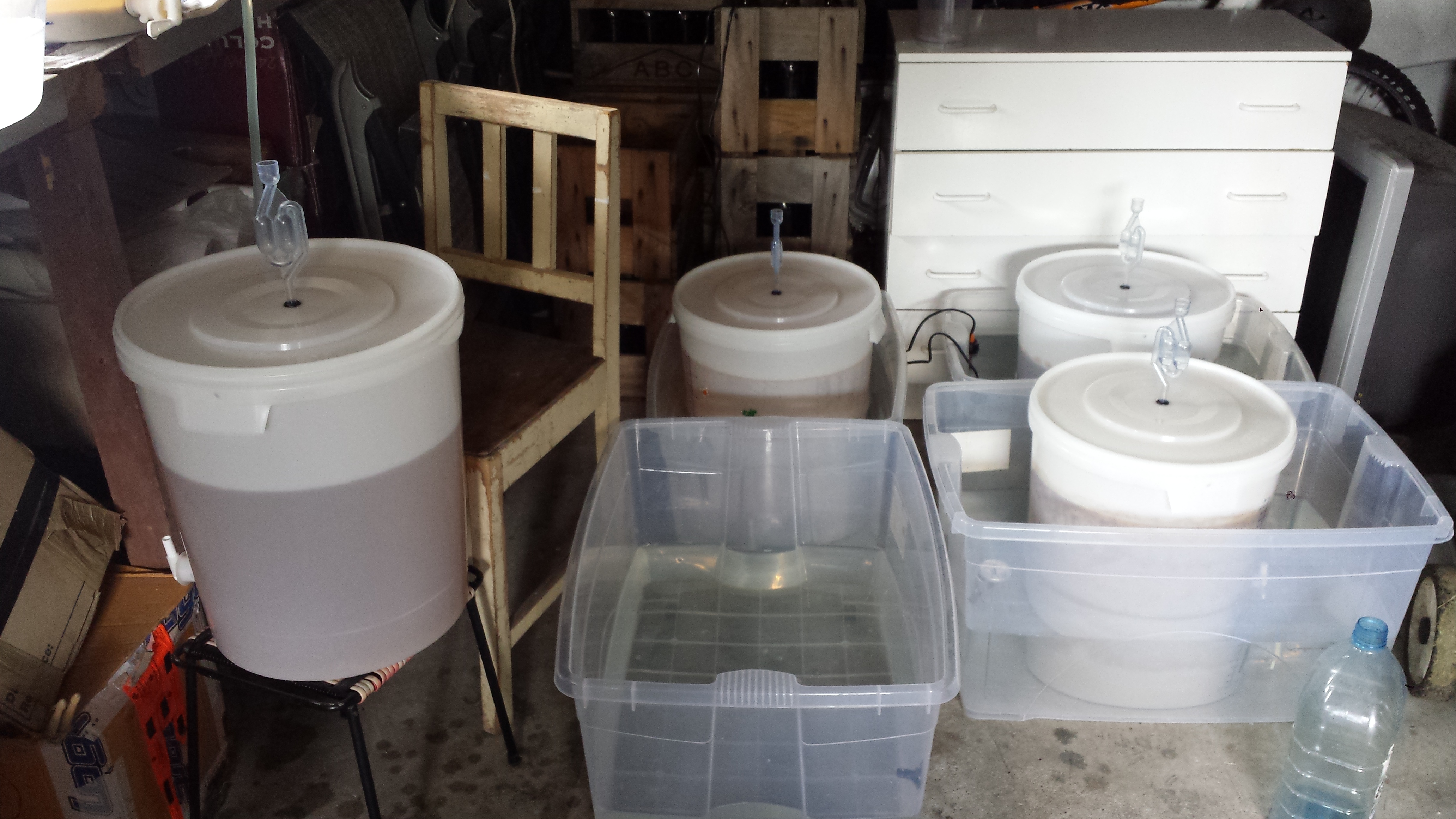 Fermenting lager beer in bins