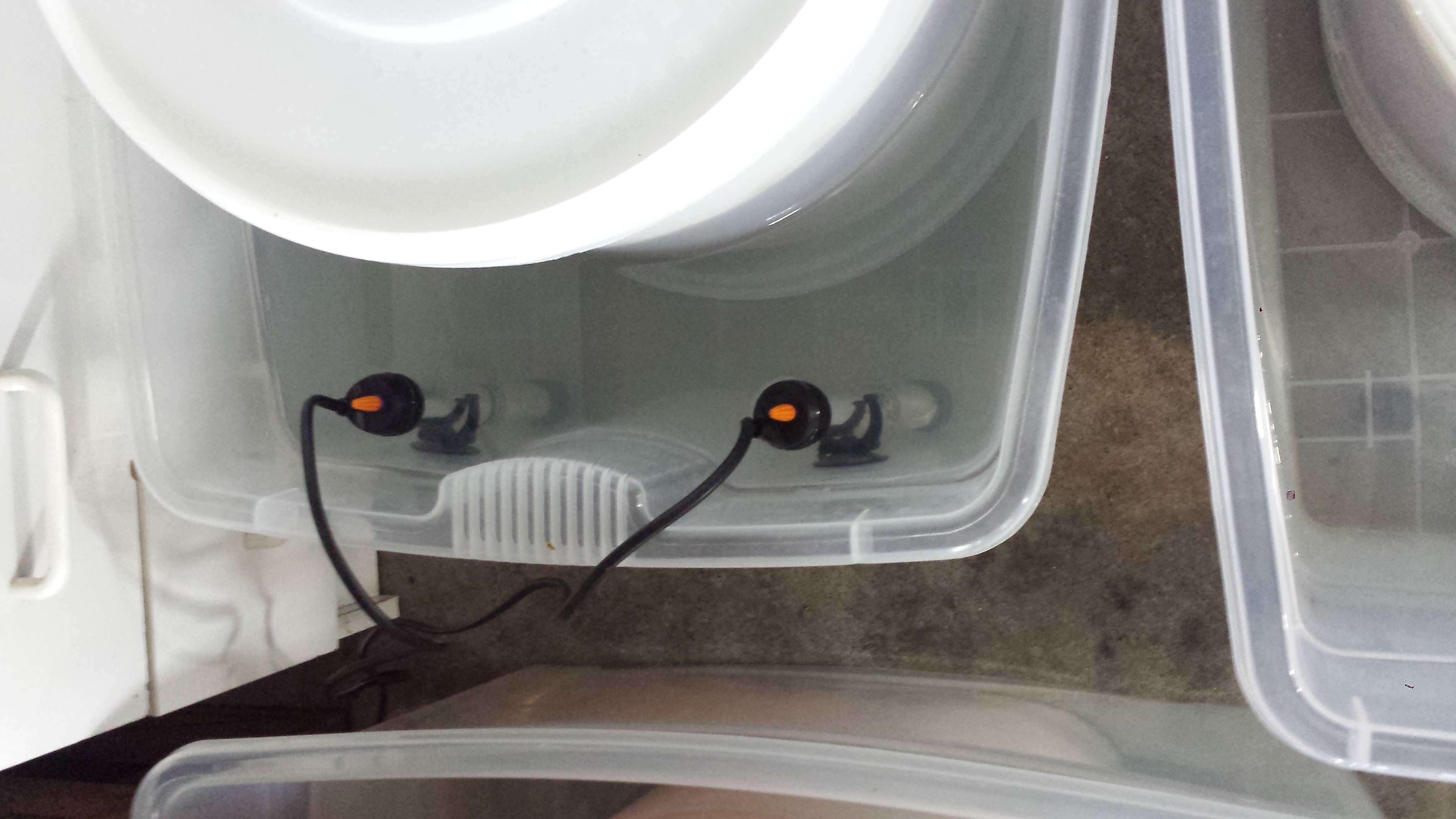 Fermenting lager beer in bins