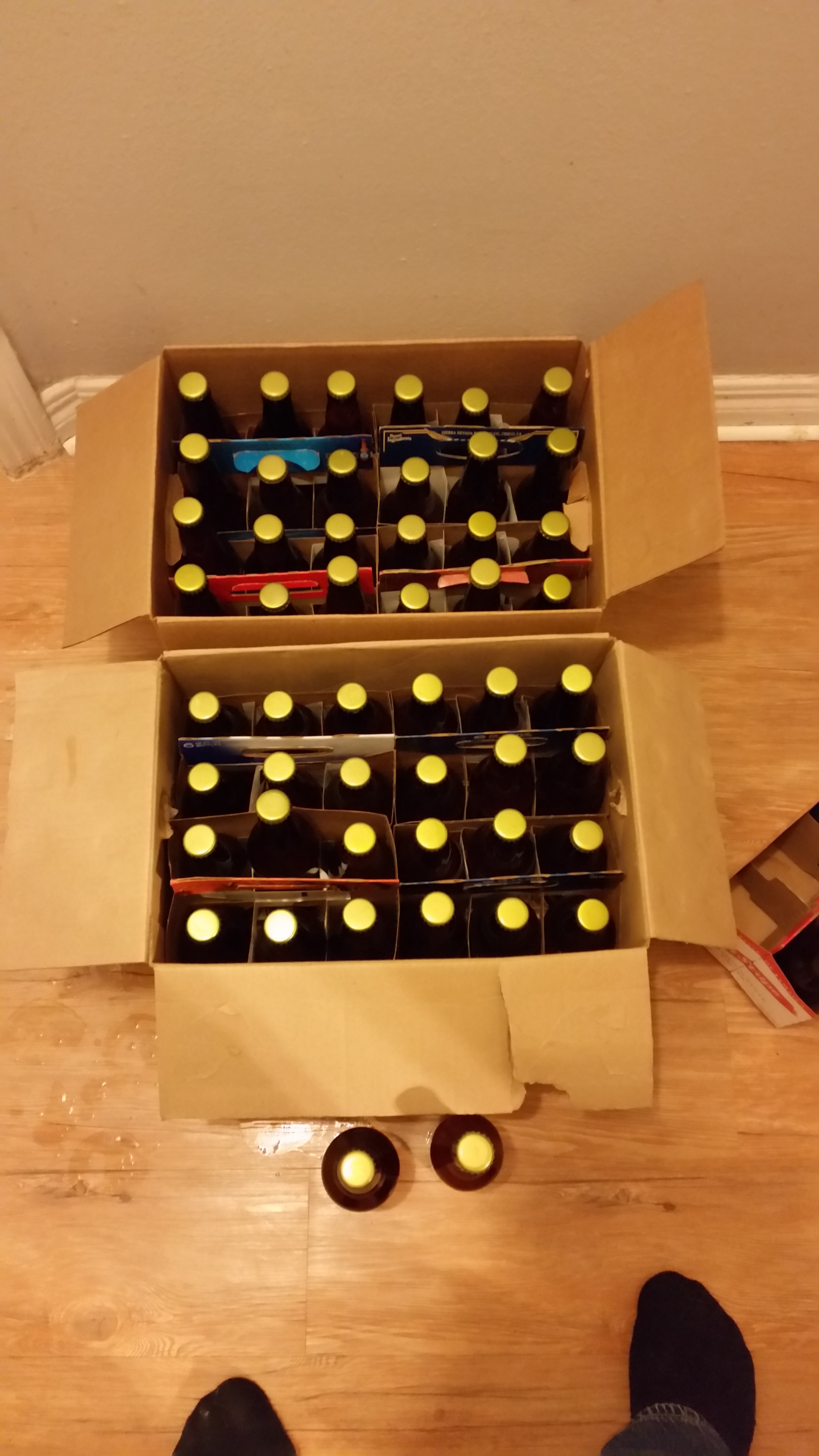 cases