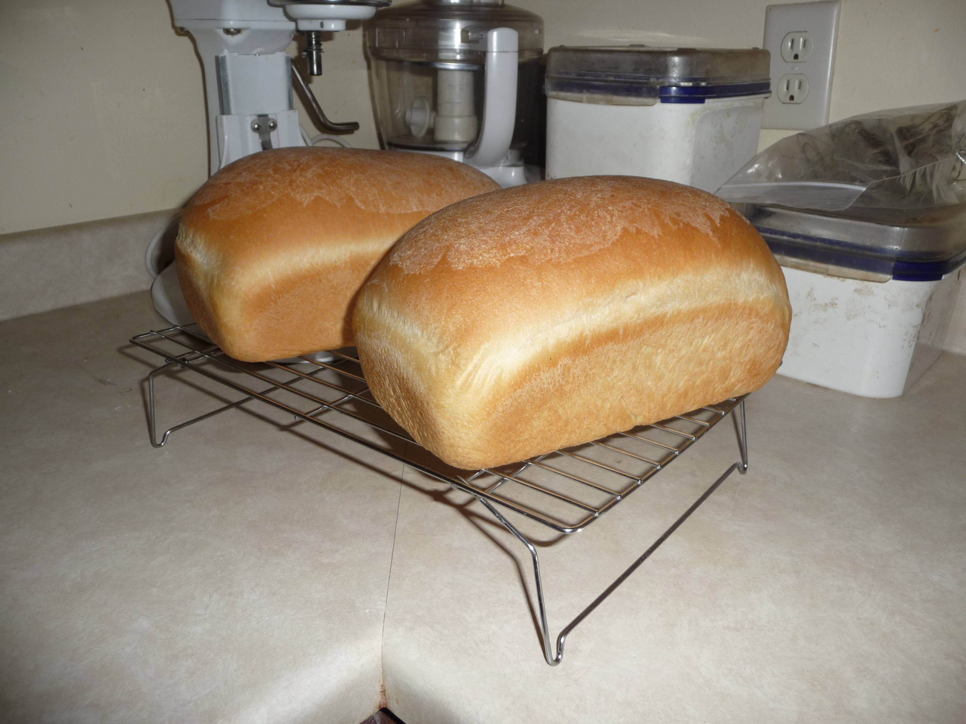White bread
