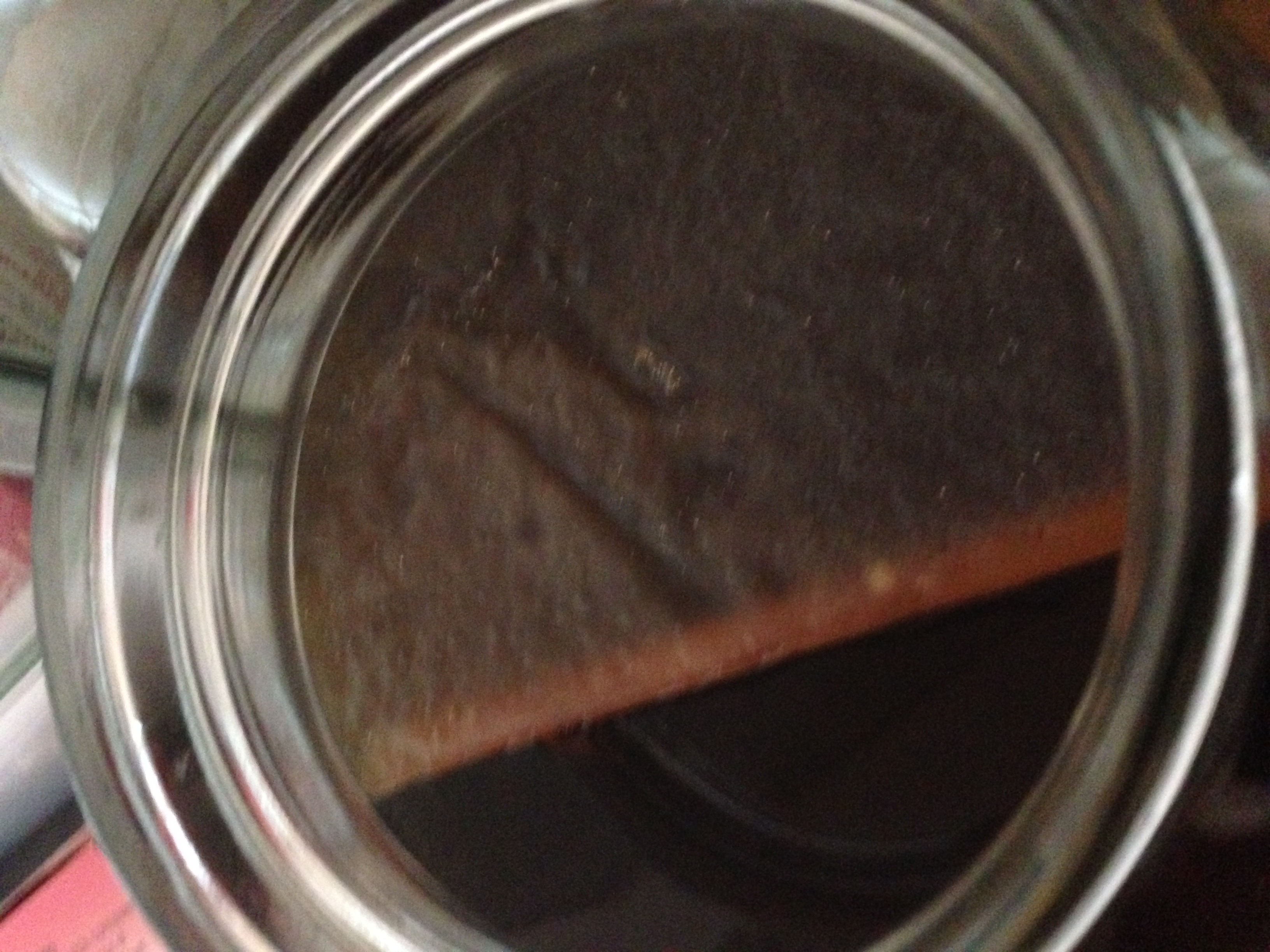 first kombucha