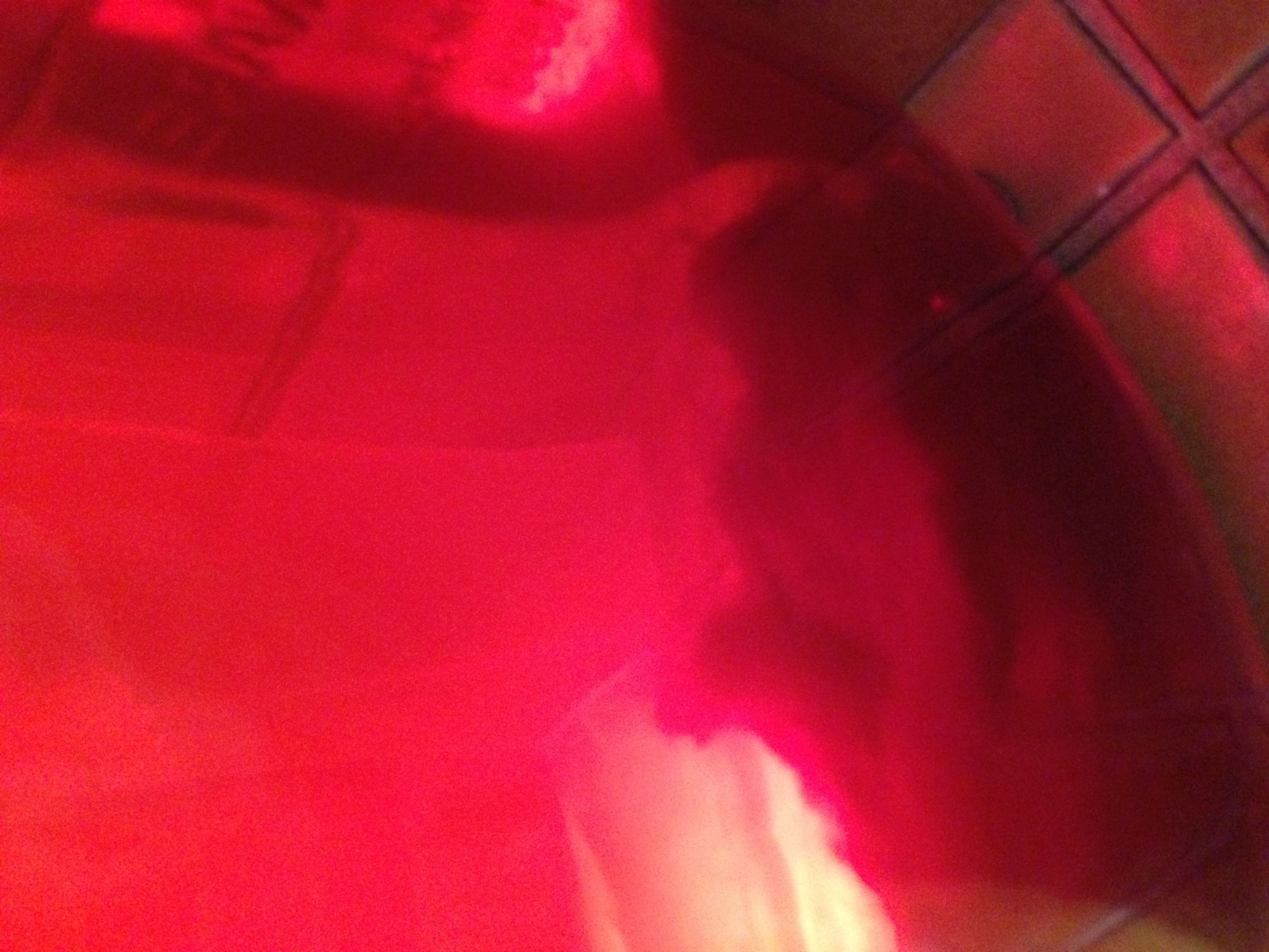 first kombucha