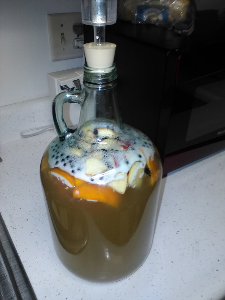 Melomel in the Primary