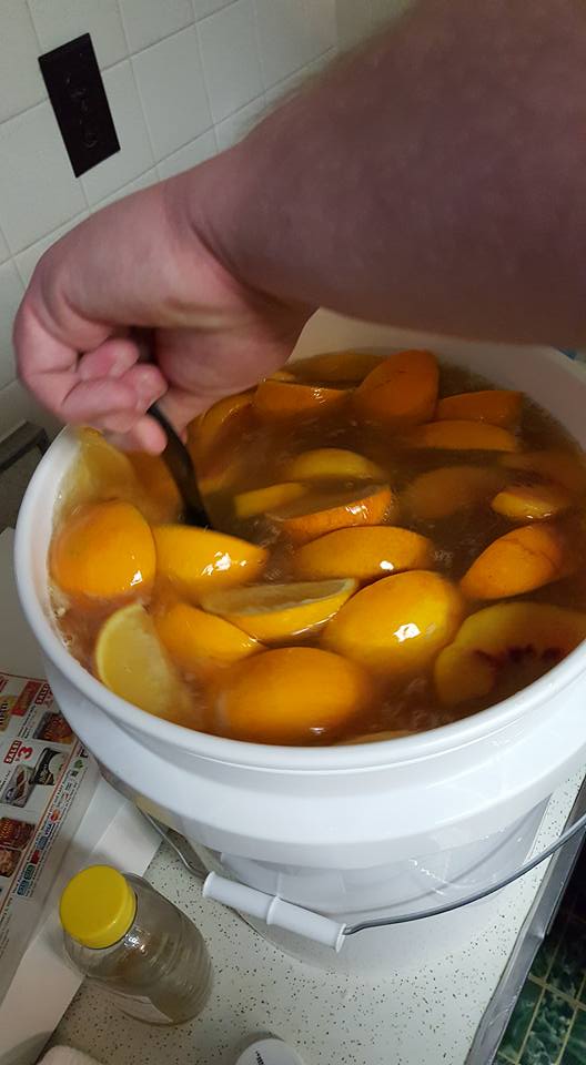 Orange/Peach Melomel