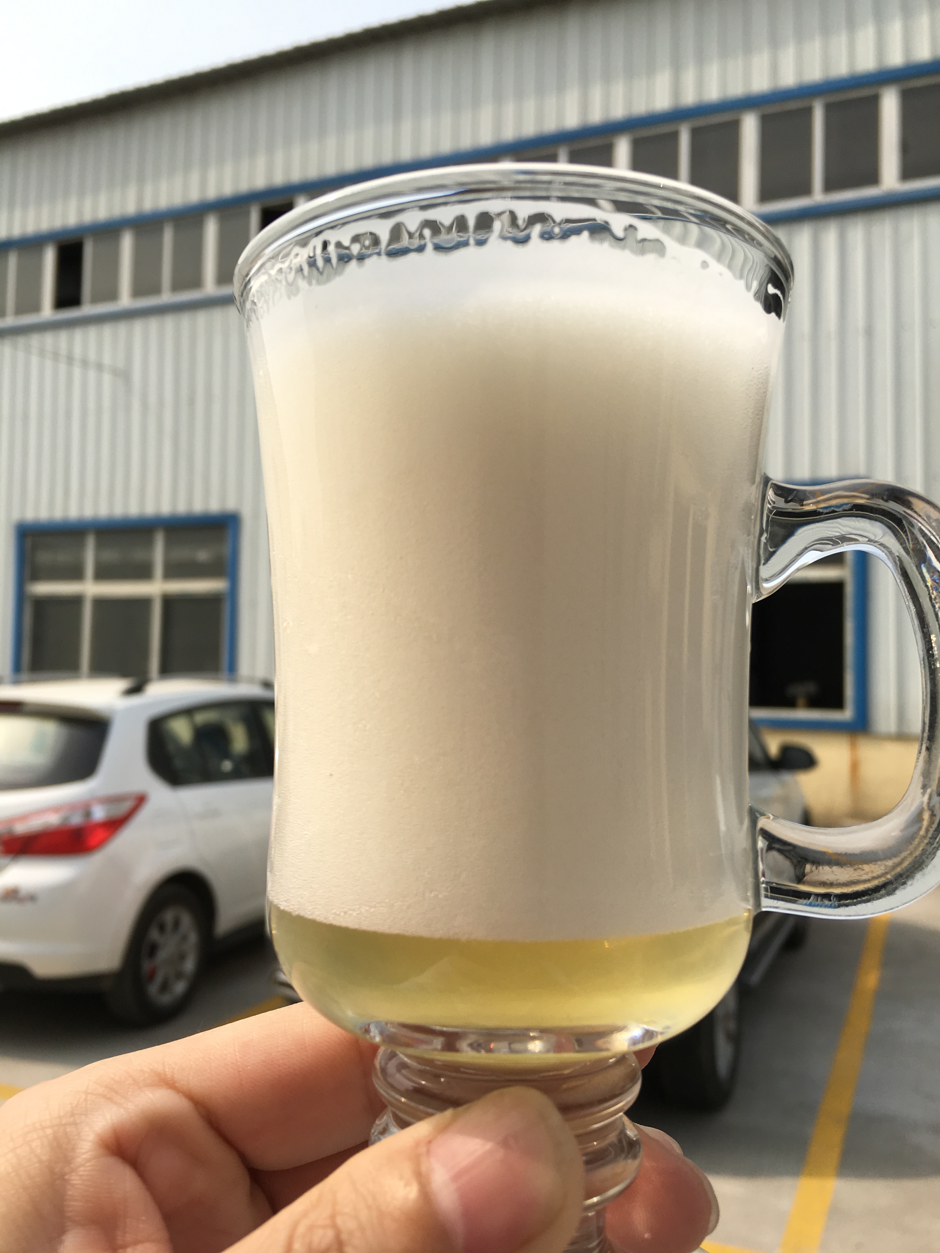 Beer Brewing Machine