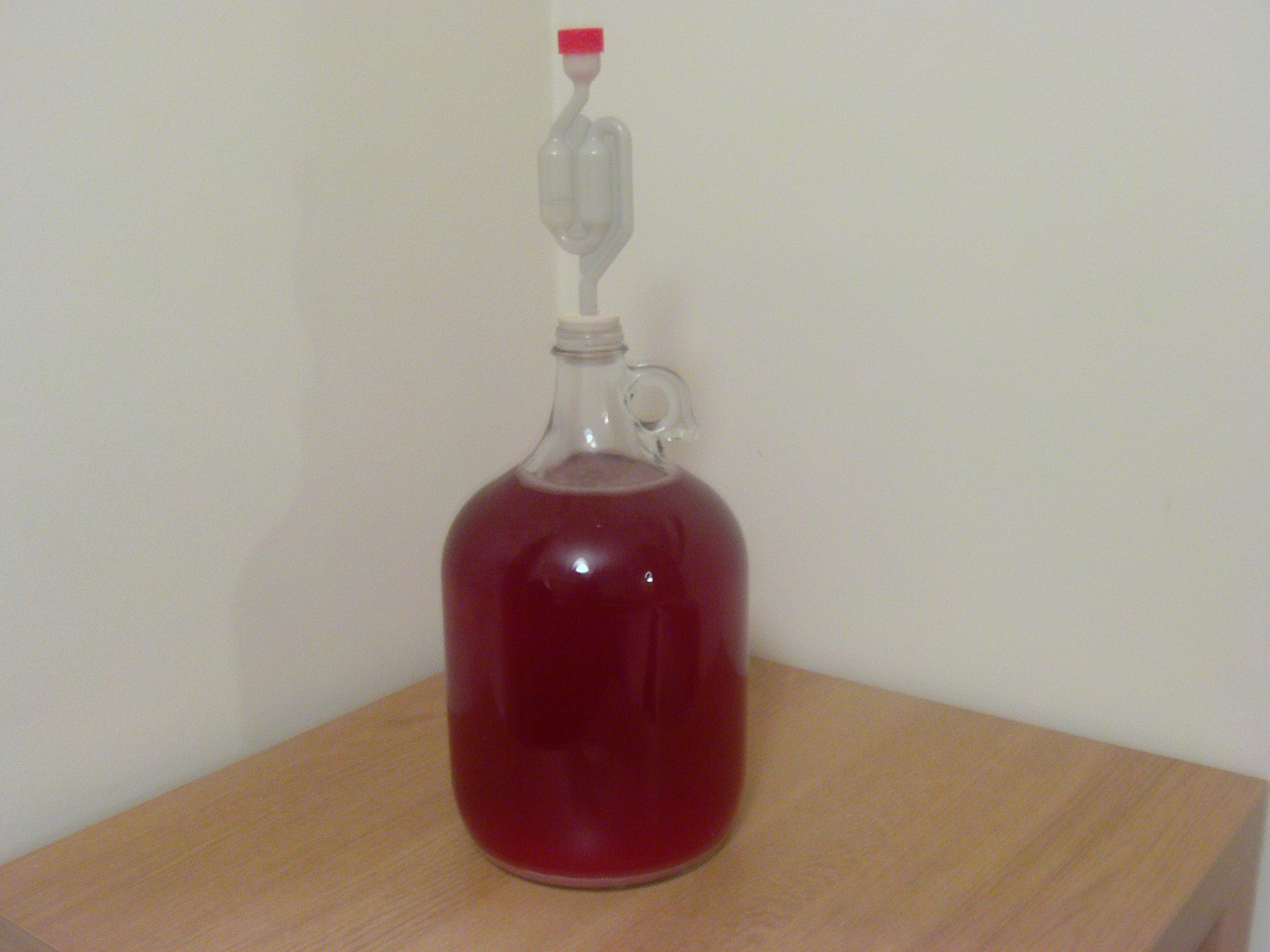 Redcurrant Melomel project