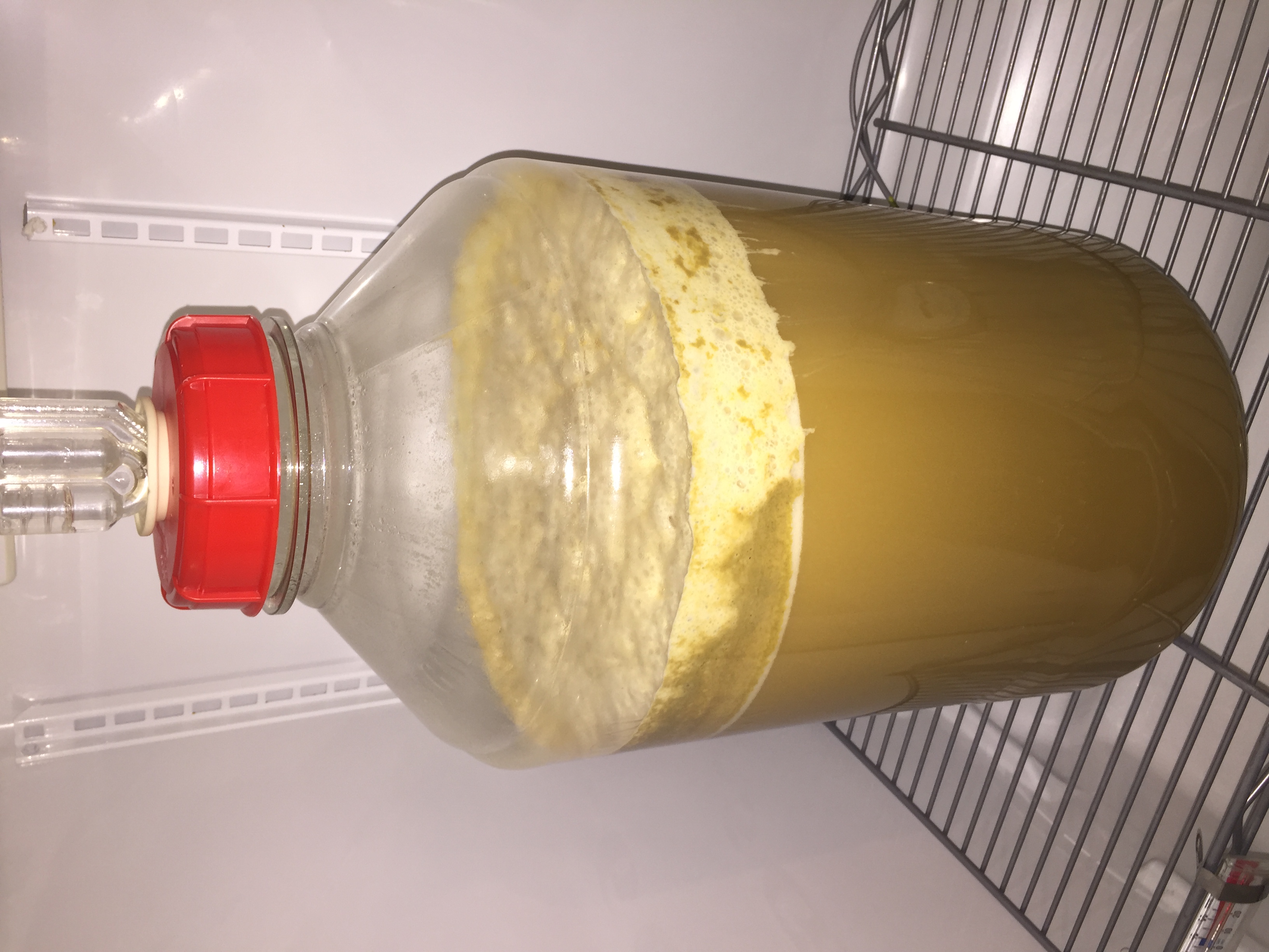 American Wheat