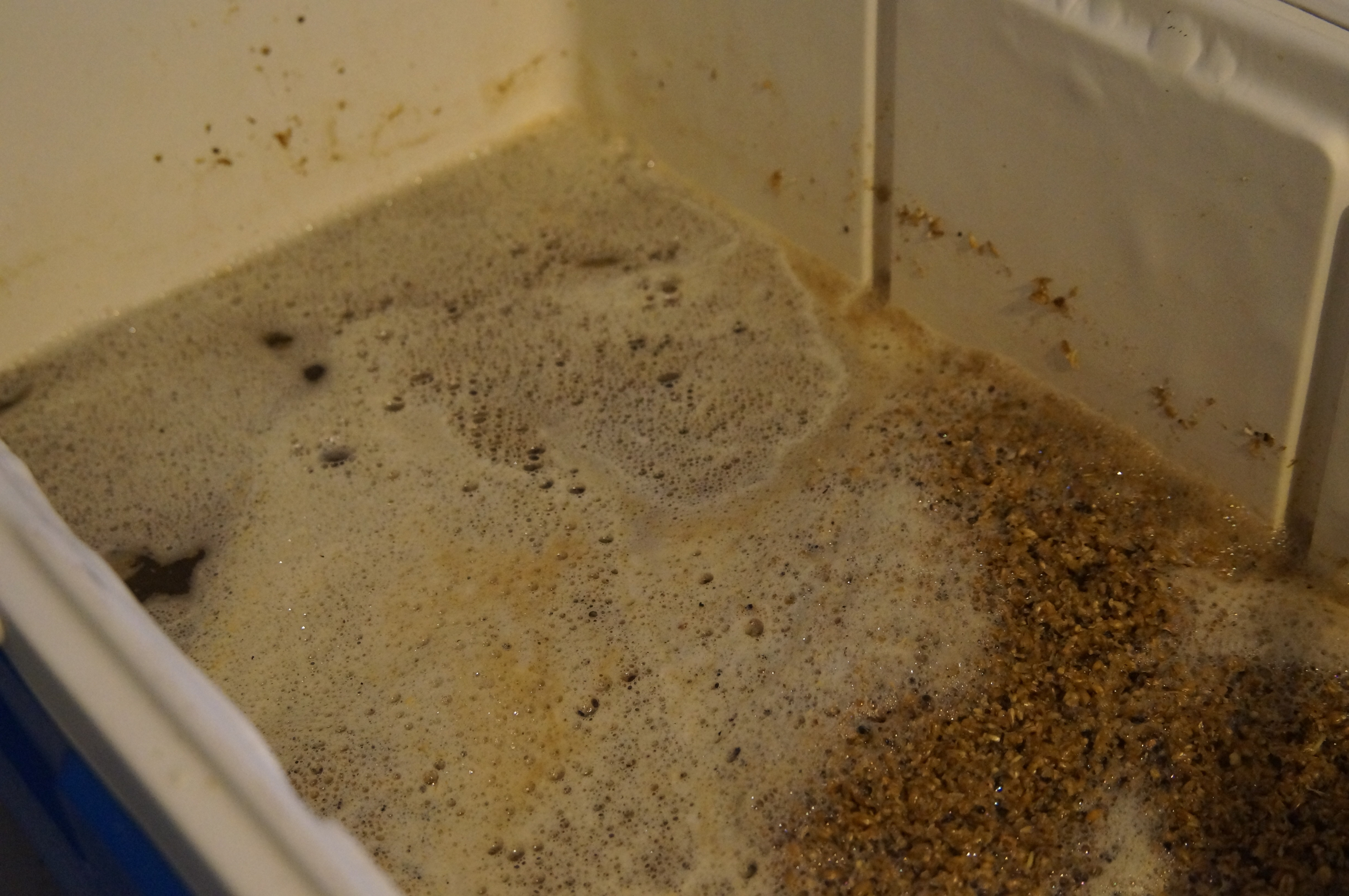 12 Beers of Christmas 2016 Brewing Gingerbread Ale