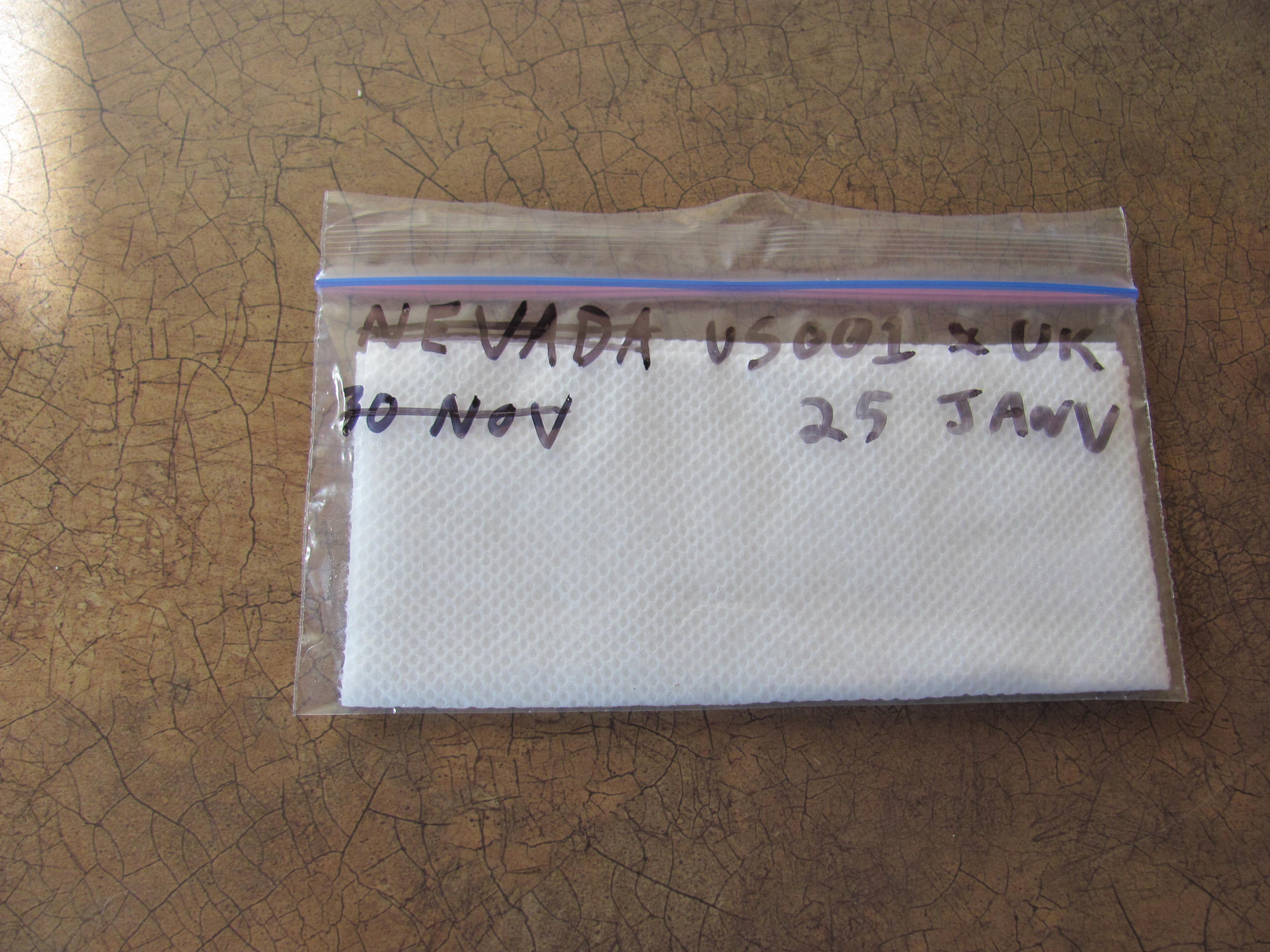Germinating seeds in humid paper towel