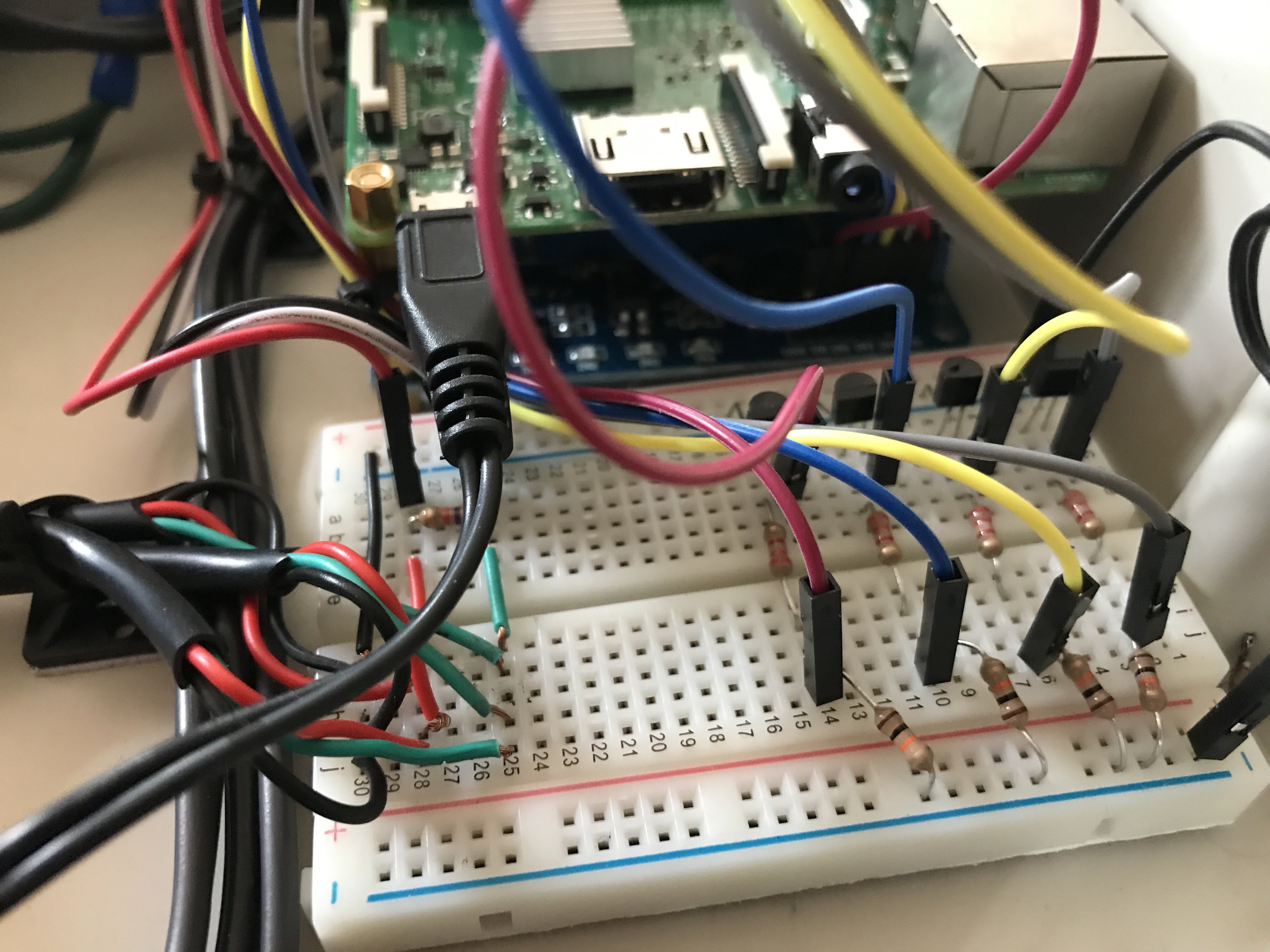 cbp pi hat solderless breadboard focus