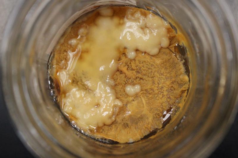 SCOBY1.jpg