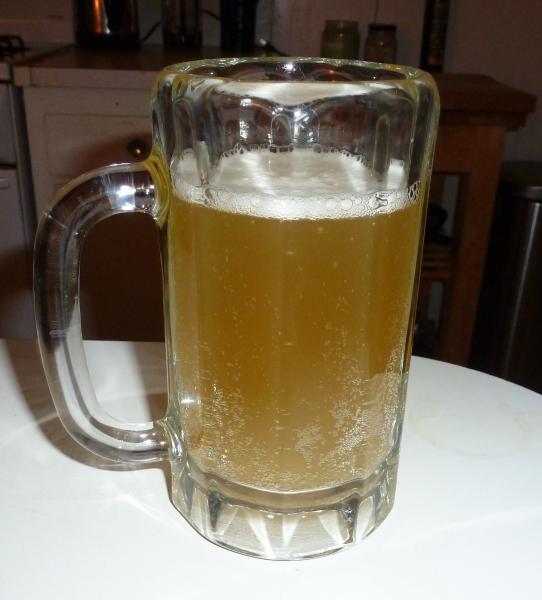 P1000176.jpg