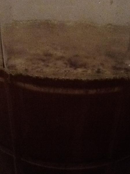 mold2.jpg