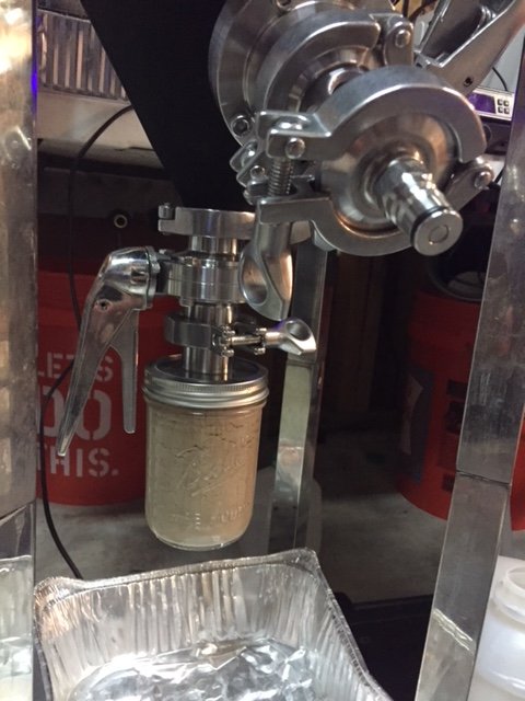 yeast.JPG