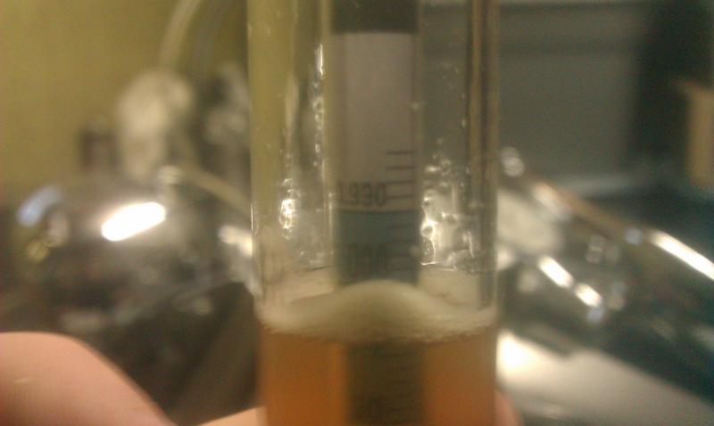 IMAG0059.jpg IMAG0059.jpg
