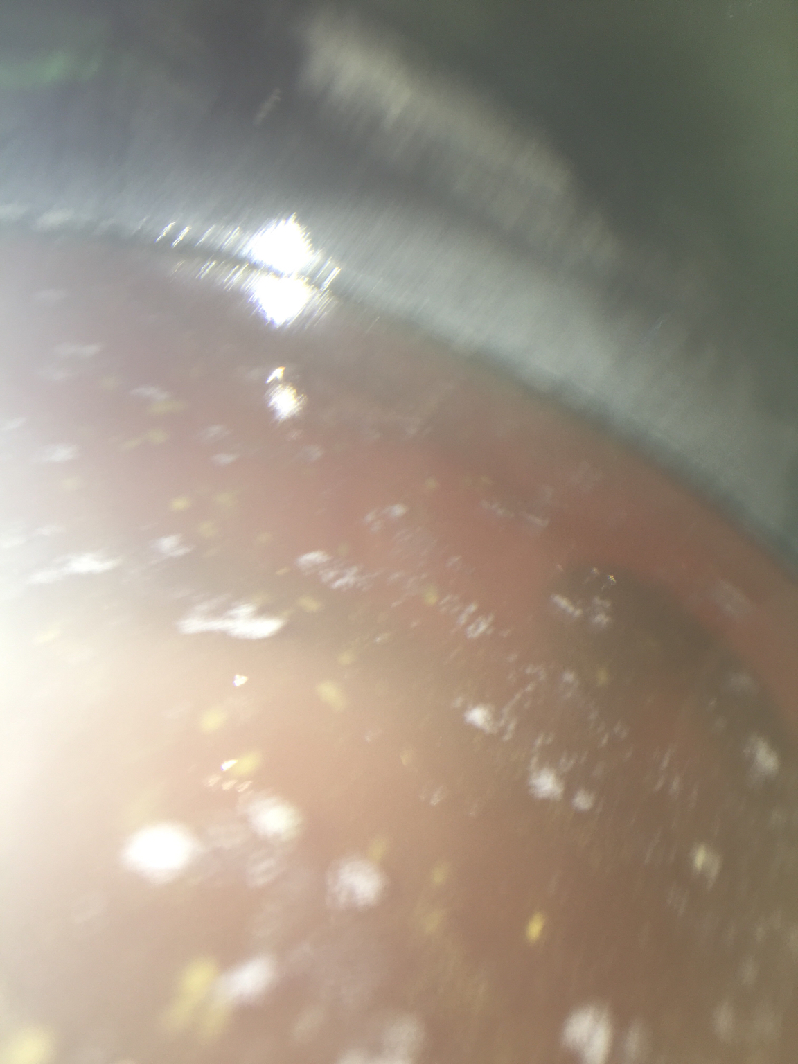 IMG_1515348870.951882.jpg