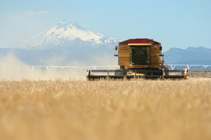 harvester and mountain.jpg