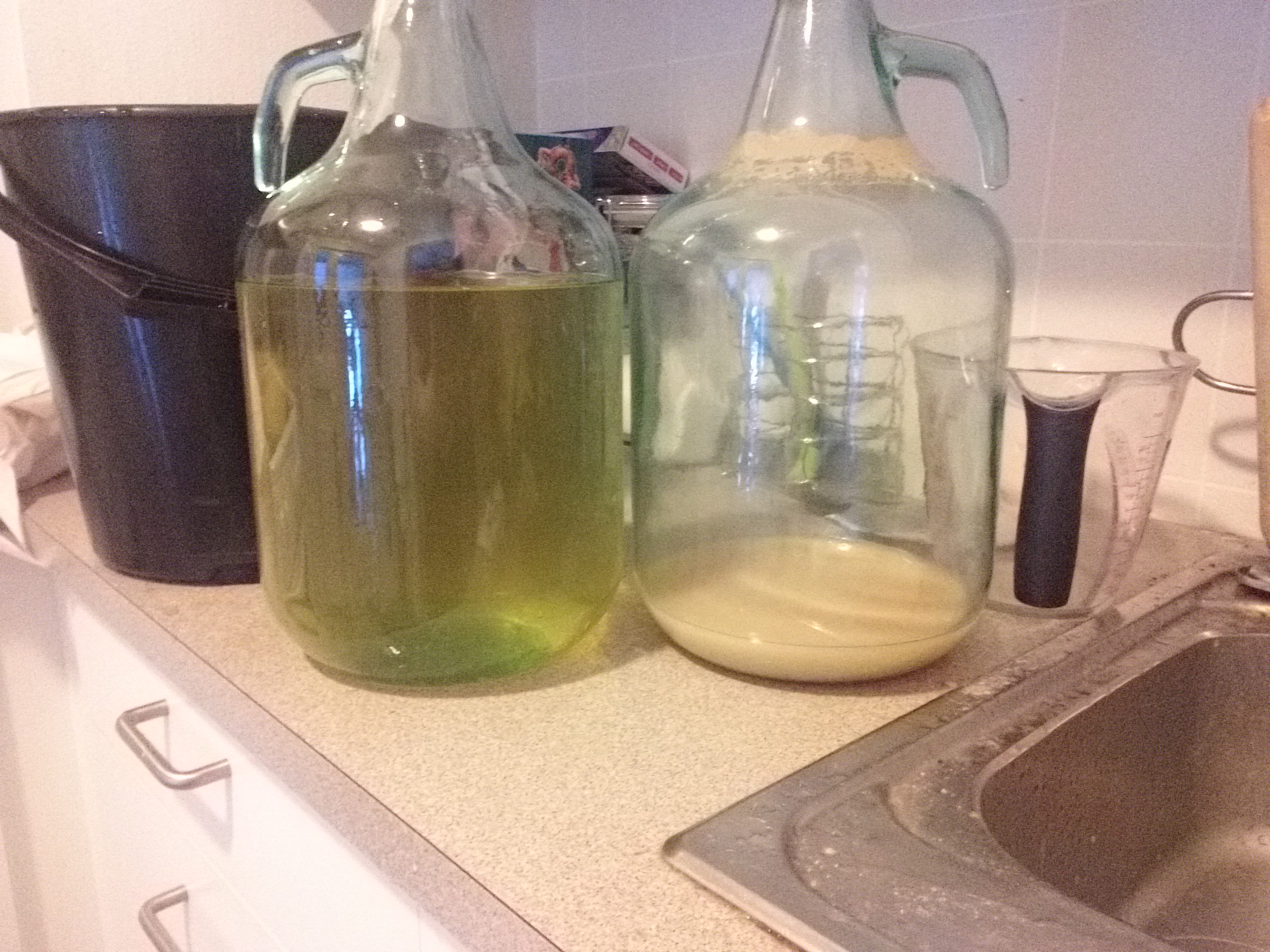 my first mead.jpg