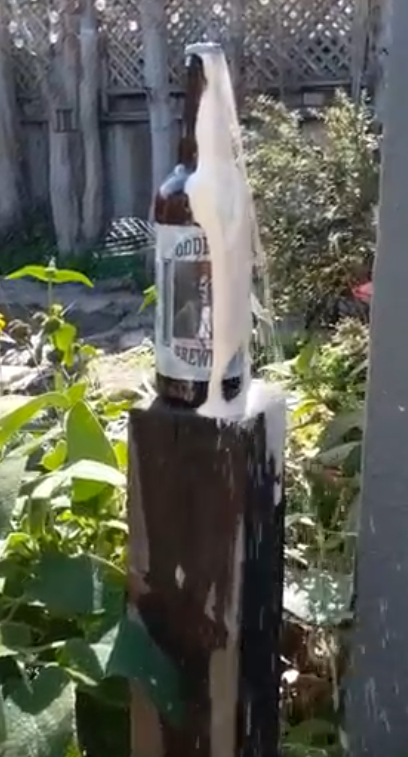 Oops beer.png