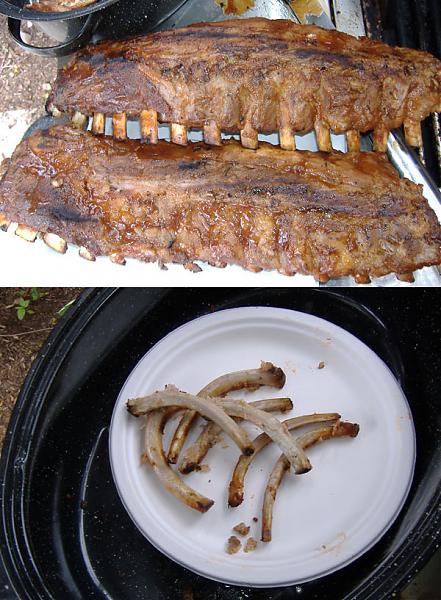 ribs.jpg