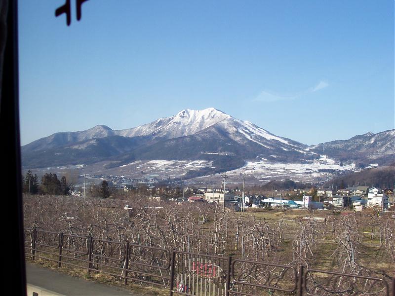 100_0535.jpg