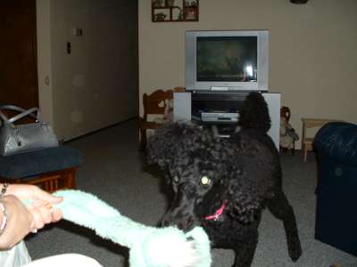 Picture 009-400.jpg