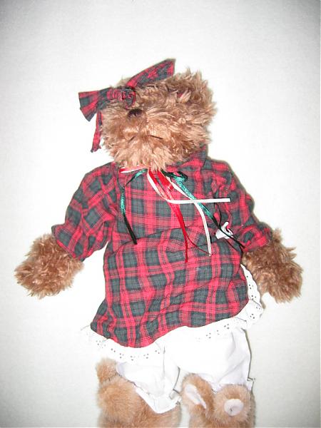 Teddy.jpg