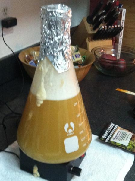DIY Stir.jpg DIY Stir.jpg