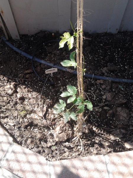 2012-04-30 10.06.27.jpg