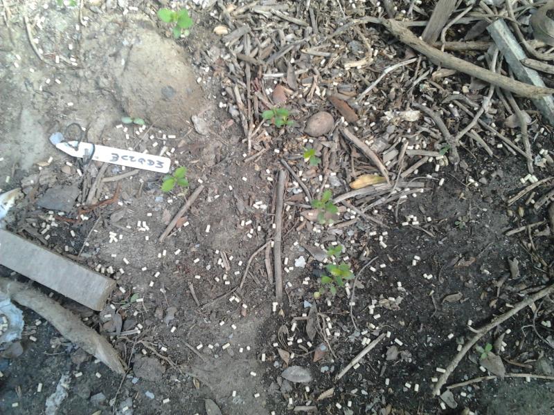 2012-04-30 10.05.47.jpg