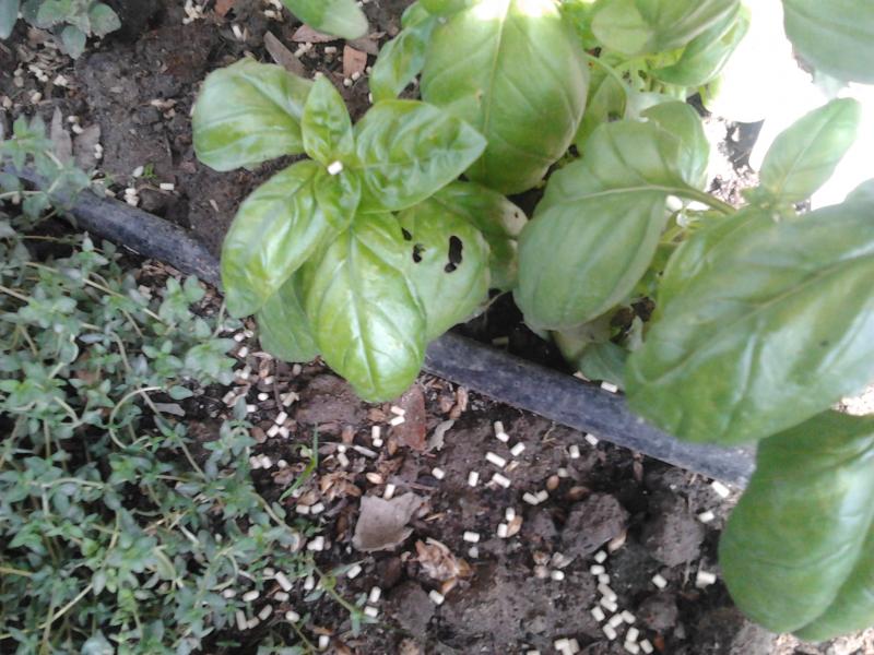 2012-04-30 10.06.09.jpg