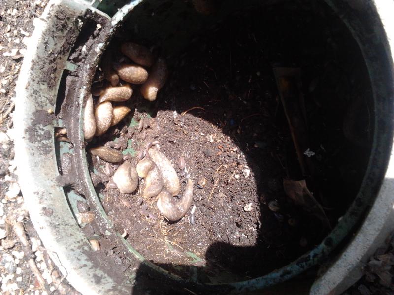2012-04-30 10.03.39.jpg