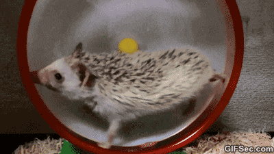 fark_2PW9hCdS8tCKHAuOP5SrgNrNRV0.gif