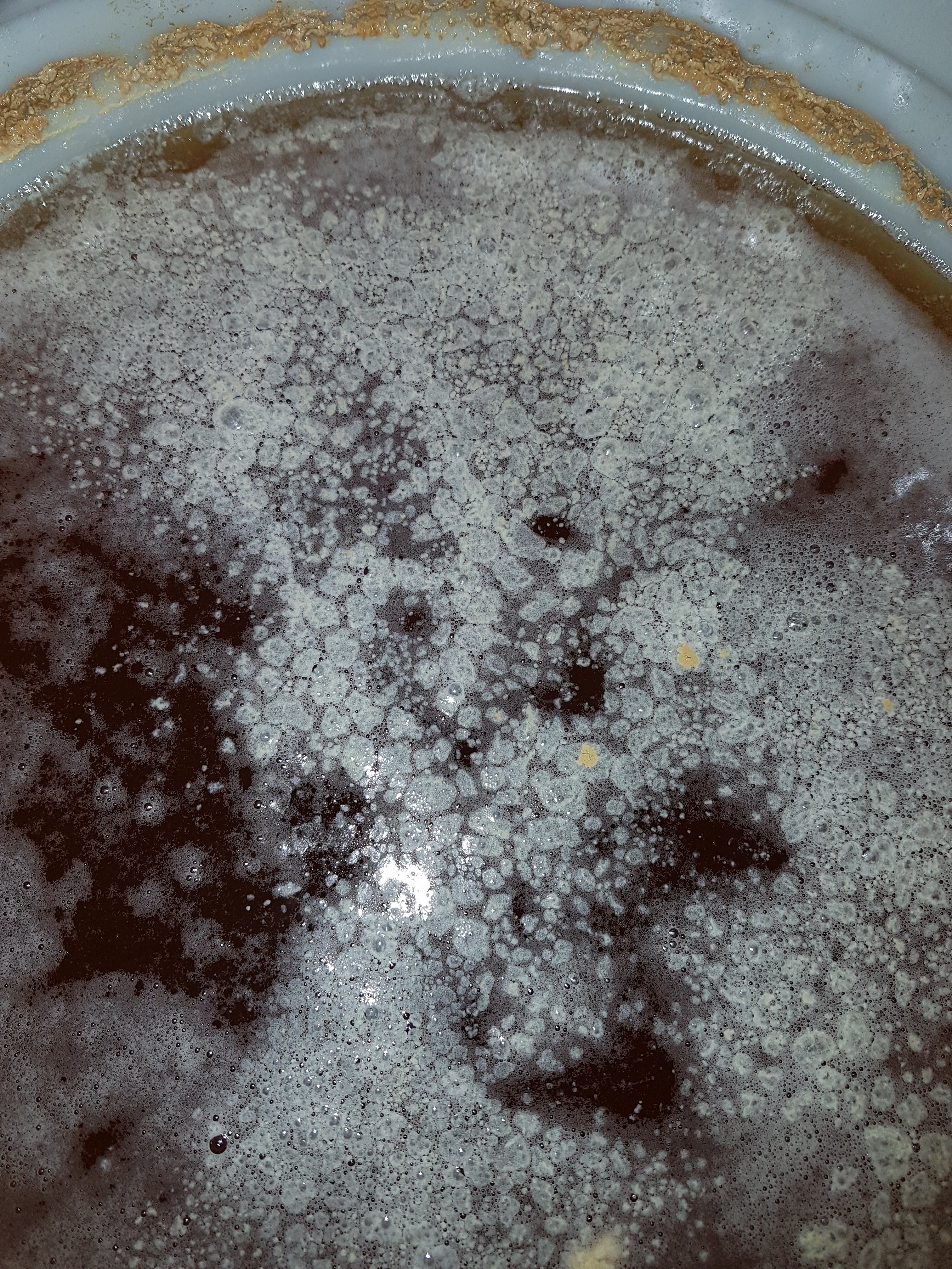 20180301_221028.jpg