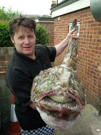 monkfish.jpg monkfish.jpg