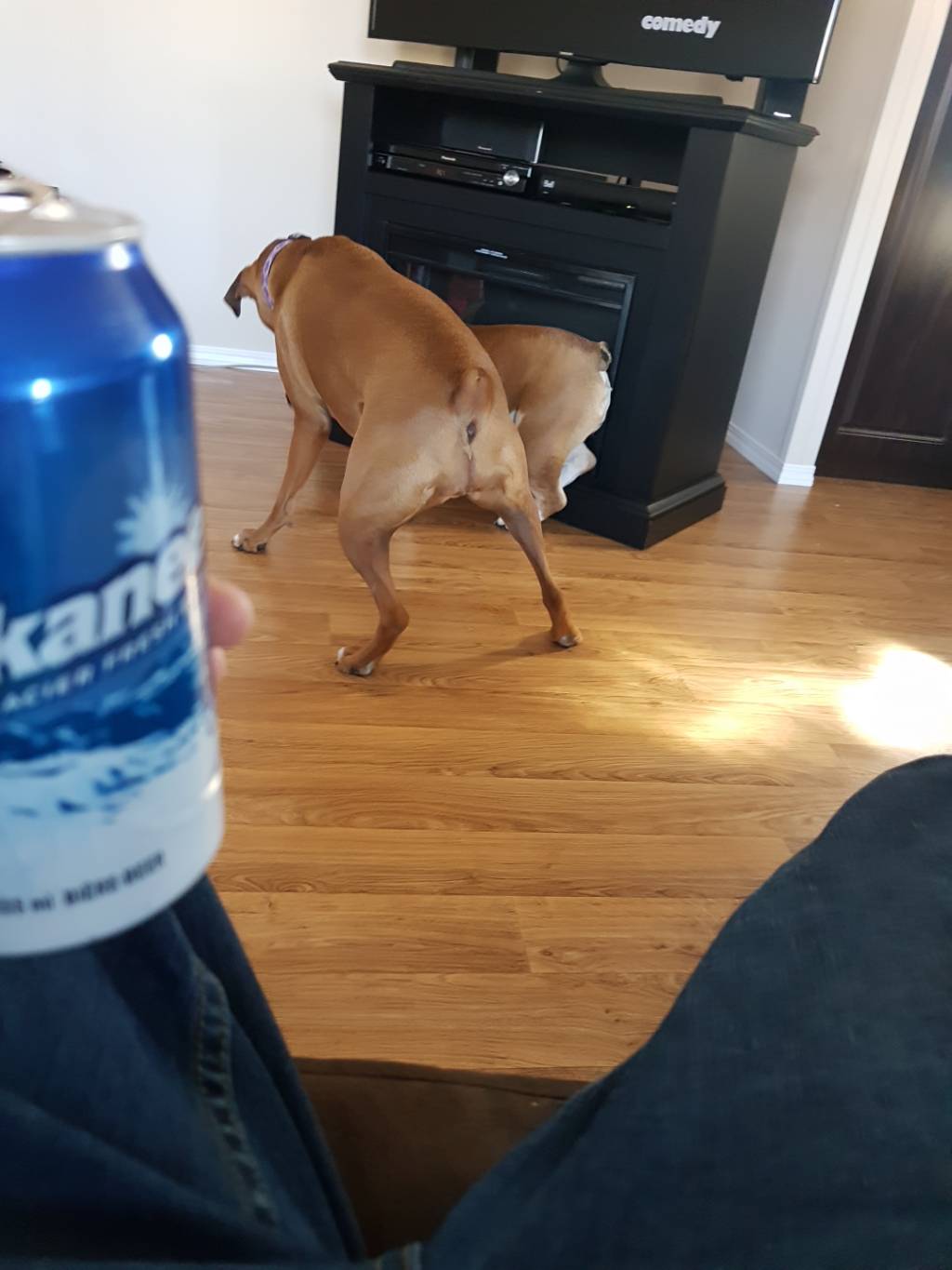 20180320_155949.jpg