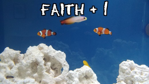 faith .jpg