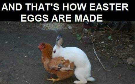 dirty-easter-jokes-1.jpg