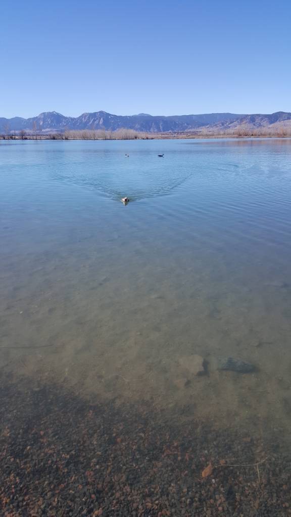 20180317_103143.jpg