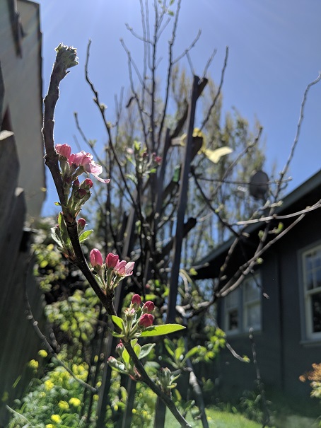 IMG_20180420_131919.jpg
