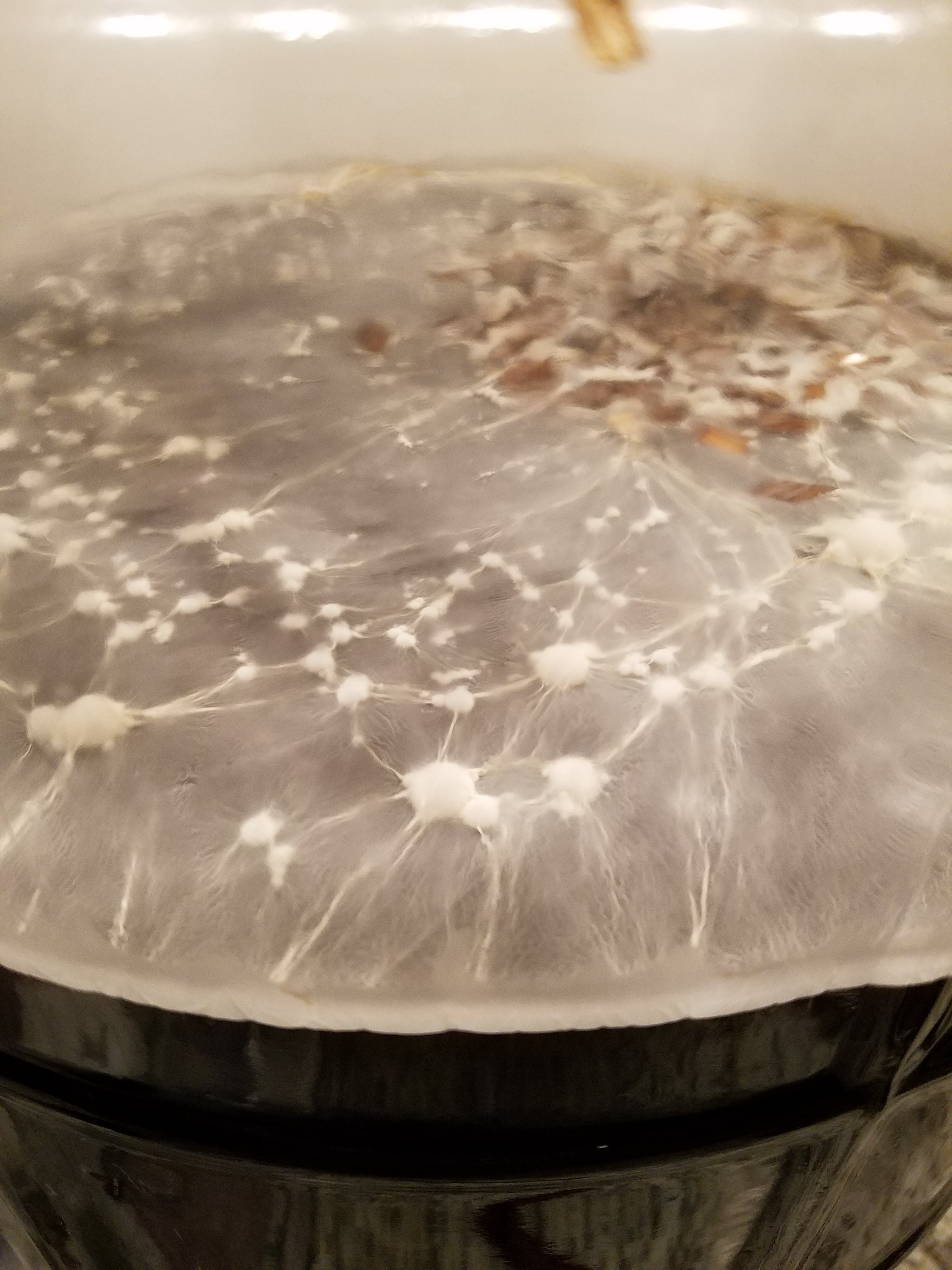 20180503_205314.jpg 20180503_205314.jpg