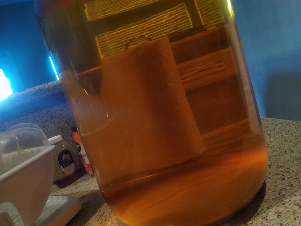 mead 2.jpg