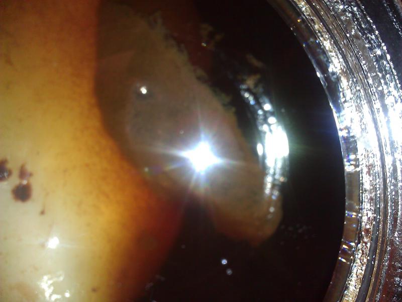 WP_000167.jpg WP_000167.jpg
