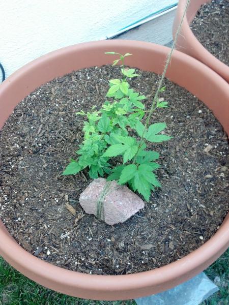 2012-05-15_08-51-17_389.jpg