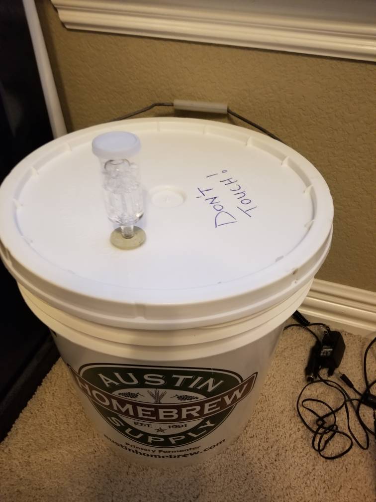 20180505_155436.jpeg