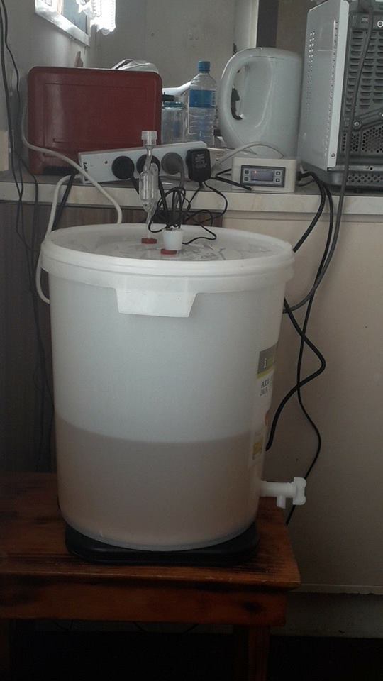 wine.jpg